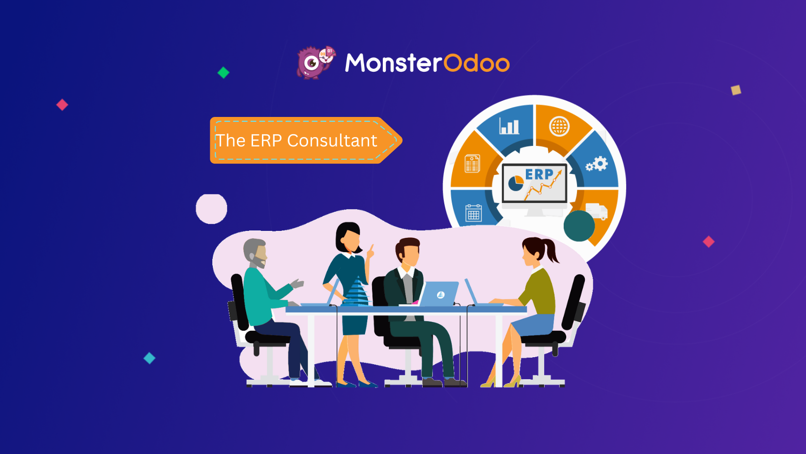 erp consultant