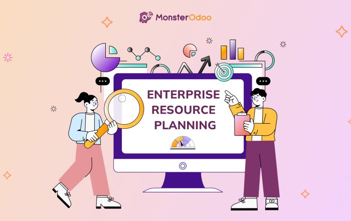 erp enterprise