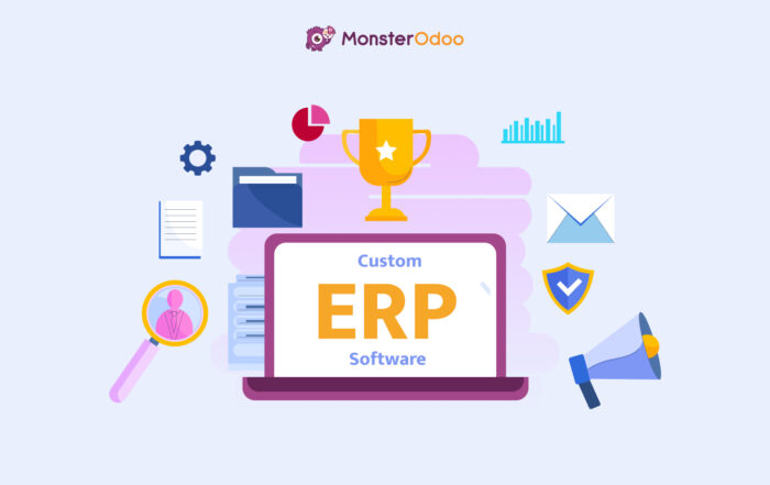 Custom ERP Software